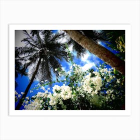 White Flowers In The Sky Blue Palm Tree Tropical Art Print