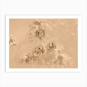 Roses In Sepia Art Print