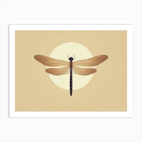 Dragonfly Common Baskettail Epitheca 7 Art Print