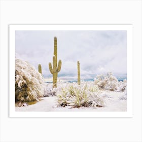 Arizona Winter Desert Snow Art Print