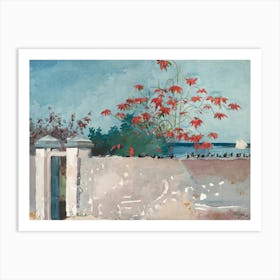 A Wall, Nassau, Winslow Homer Art Print