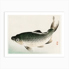 Carp, Kōno Bairei Art Print