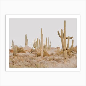 Arizona Landscape Art Print