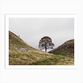 The Tree At Sycamore Gap Art Print