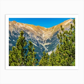 Pine Trees In The Mountains 202304171252277pub Art Print