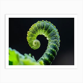 Fern Macro Art Print