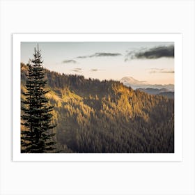 Colorado Scenery Art Print