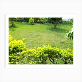 Garden 2 By Binod Dawadi Art Print