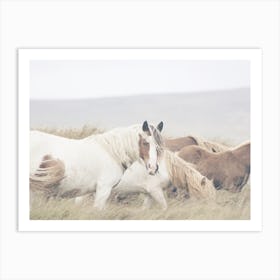 Wild Horses Art Print