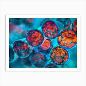 Cell Structure Art Print