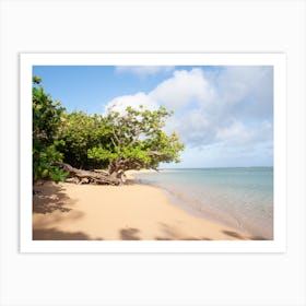 Hawaiian Beach 1 Art Print