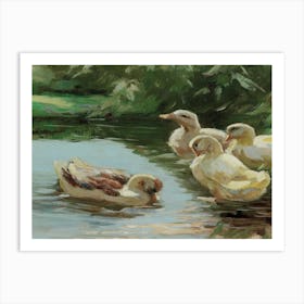 Ducks In The Pond 1 Art Print