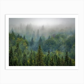Misty Forest 2 Art Print
