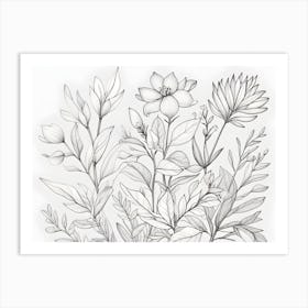 Floral Drawing Art Print