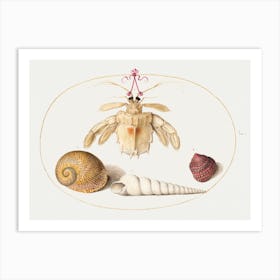 Dead Hermit Crab With Tower Snail Shells (1575–1580), Joris Hoefnagel Art Print