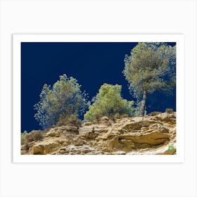 Trees On A Cliff 20230831125616rt1pub Art Print