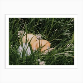 Easter Eggs In Grass 1 Art Print