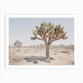 Sunny Desert Day Art Print