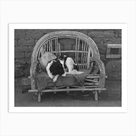 Dog On Settee In Front Of Farmhouse, Concho, Arizona By Russell Lee Art Print