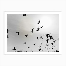 Silhouettes Of Flying Pigeons In The Skies 1 Art Print