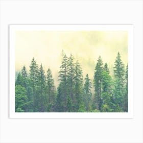 Misty Forest 3 Art Print