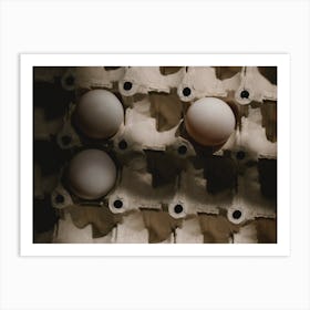 Eggs In A Carton 14 Art Print