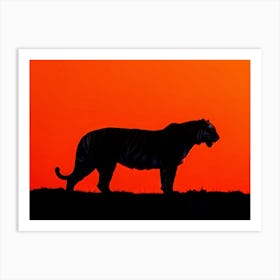 Royal Bengal Tiger Silhouette Minimalist Approach Stark Contrast Against A Vibrant Orange Backdrop Art Print