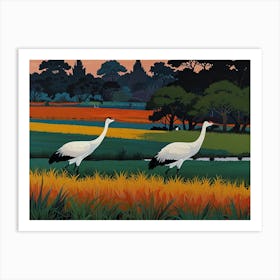 Cranes In The Field Art Print