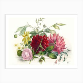 Dahlias 10 Art Print