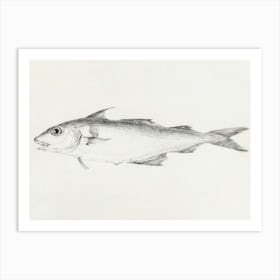 Fish 2, Jean Bernard Art Print