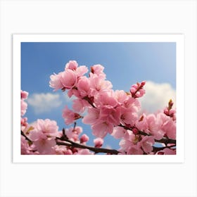 Cherry Blossoms 1 Art Print