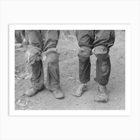 Cotton Pickers With Knee Pads, Lehi, Arkansas By Russell Lee 1 Art Print