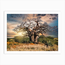 Baobab Tree Art Print