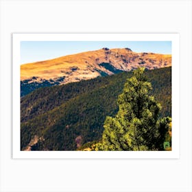 Pine Tree In The Mountains 202304171256284pub Art Print