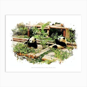 Giant Panda Breeding Research Base, Chengdu, China Art Print