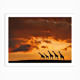 Five Giraffes Art Print
