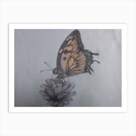 buterfly sketch Art Print