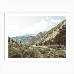 Wildflower Hiking Trail Art Print