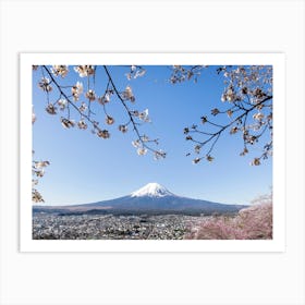 Fantastic View Of Mount Fuji With Cherry Blossoms Art Print