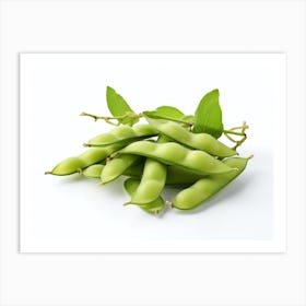 Soy Beans 1 Art Print