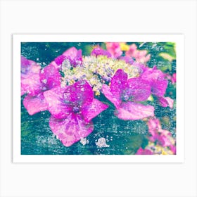 Purple Hortensia 1 Art Print