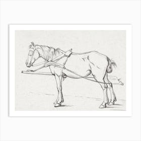 Standing Harnessed Horse, Jean Bernard Art Print