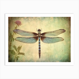 Dragonfly In Meadow Flowers Vintage 4 Art Print