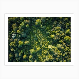 Aerial View Capturing The Vibrant Canvas Of A Lush Green Forest In Springtime Canopy Of Dense Reju (1) Art Print