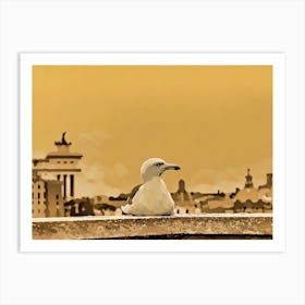 Seagull sitting perched on a rooftop ledge in the historical center of Rome. Its white feathers contrasting against the warm, sepia-toned cityscape behind it. The bird's head is turned slightly, gazing out at the distant buildings, creating a sense of tranquility and observation. Art Print