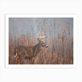 Misty Swamp Deer Art Print