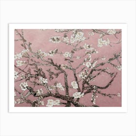 Almond Blossom 1 Art Print