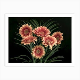 Gerberas Art Print