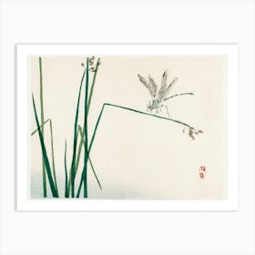 Dragonfly On Bulrush Leaf, Kōno Bairei Art Print