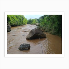 Muddy River Art Print